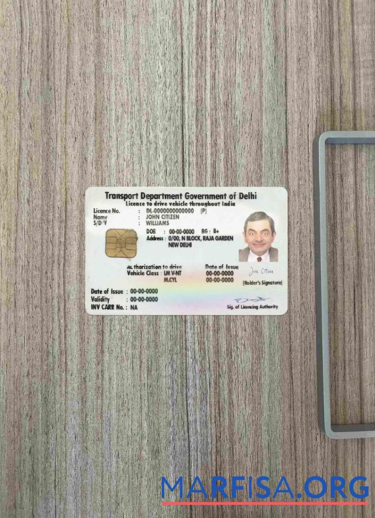 Realistic India (Delhi) driving license photolook example